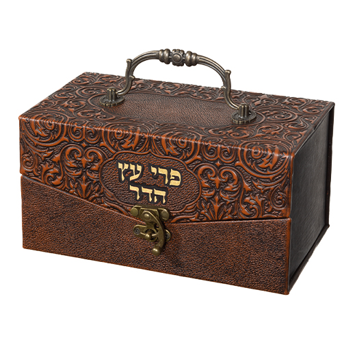 קופסא מהודרת לאתרוג דמוי עור "עיטורים" 20×12×11 ס״מ