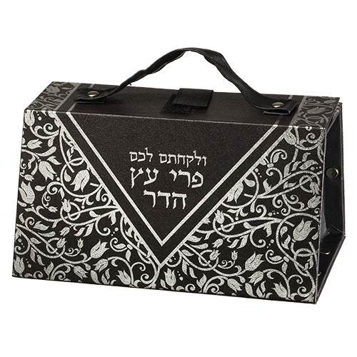 Faux Leather Etrog Box 11*19*13 with Silver Print
