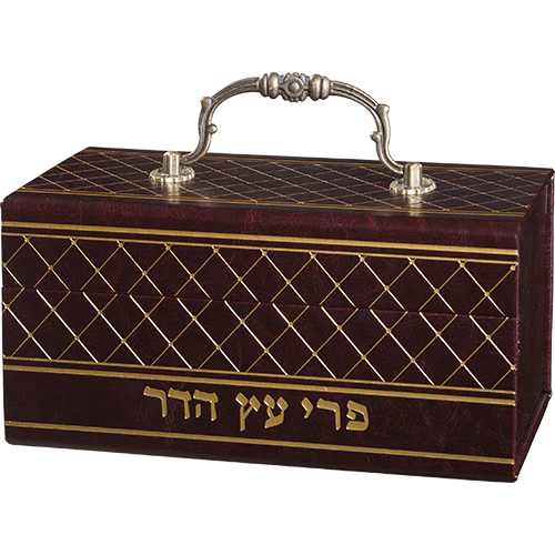 קופסא מהודרת לאתרוג דמוי עור עם ידית 13×19 ס״מ