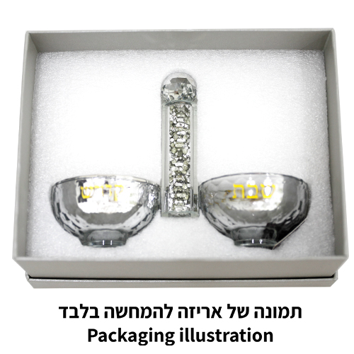 מלחית קריסטל מהודרת אבנים כסף 10×14 ס״מ