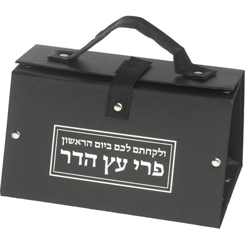 כלי לאתרוג דמוי עור הדפסה כסף 11×19×13 ס״מ