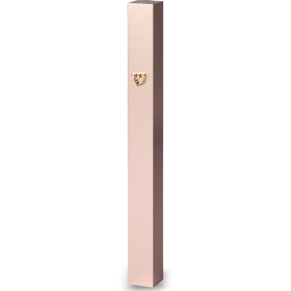 Aluminum Mezuzah 12 Cm-with Metal Shin - Gold
