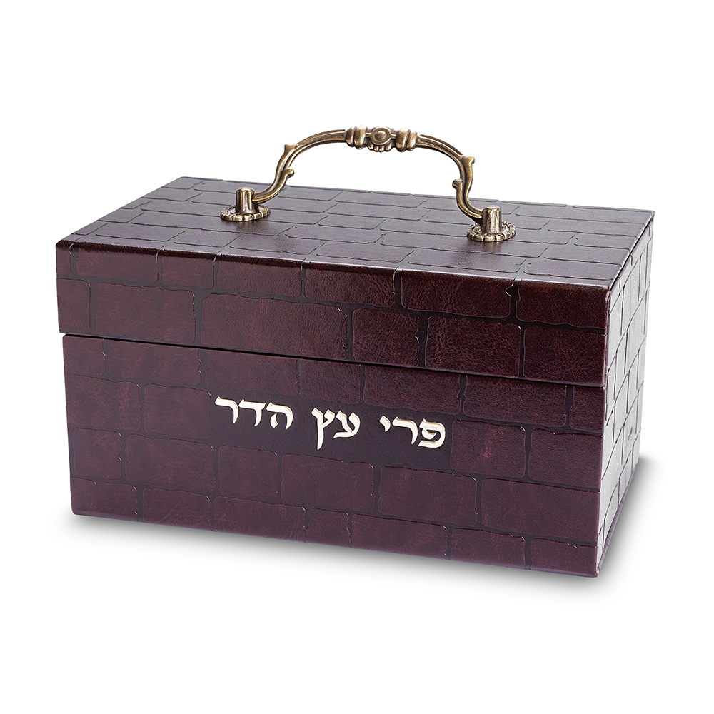 Faux Leather Etrog Box Metal Handle 11x20x12 cm